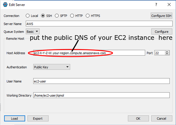 Edit server menu with the Host Address line circled, with instructions to put the public DNS of the EC2 instance in the Host Address line