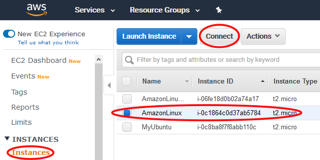 AWS EC2 console with Instances menu item selected on left and circled. The Connect button at the top is circled and so is the AmazonLinux instance.