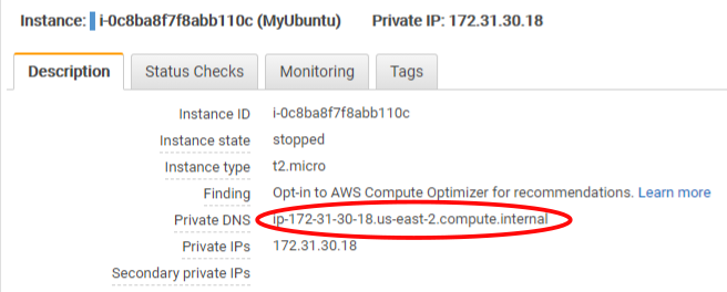 An AWS instance description page with the private DNS circled in red