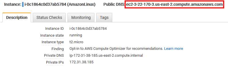 Instance EC2 dashboard with the Public DNS surrounded by a red box