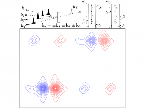 Nonlinear Spectroscopy