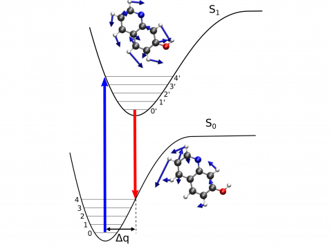 Vibronic Spectroscopy