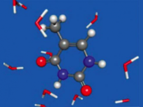 EFP for Solvated Species