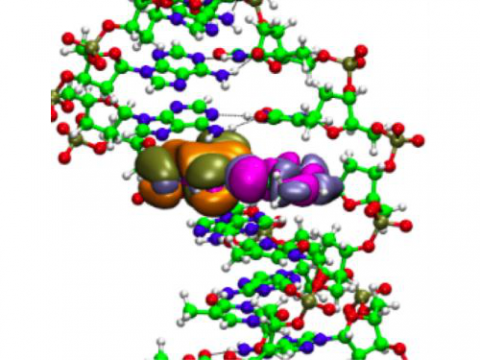 QM/MM Embedding