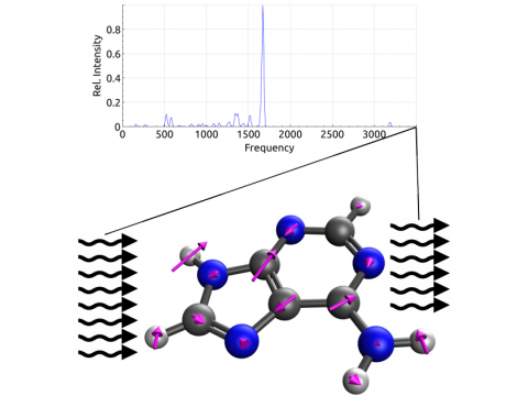 Vibrational Spectroscopy